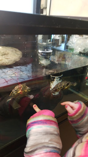 Pet Supply Store «Petco Animal Supplies», reviews and photos, 1791 Clarkson Rd, Chesterfield, MO 63017, USA