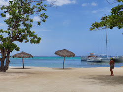 Mahogany Beach'in fotoğrafı çok temiz temizlik seviyesi ile