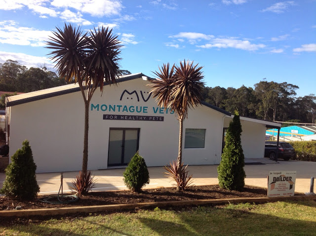 Montague Vets