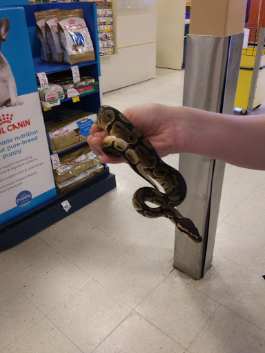 Pet Supply Store «PetSmart», reviews and photos, 1040 Cross Creek Dr, Saltillo, MS 38866, USA