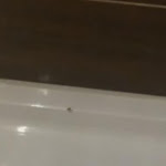 Photo n°3 de l'avis de MOG2911. fait le 27/12/2019 à 20:13 sur le  Hotel und Restaurant Ausspann à Heidenau