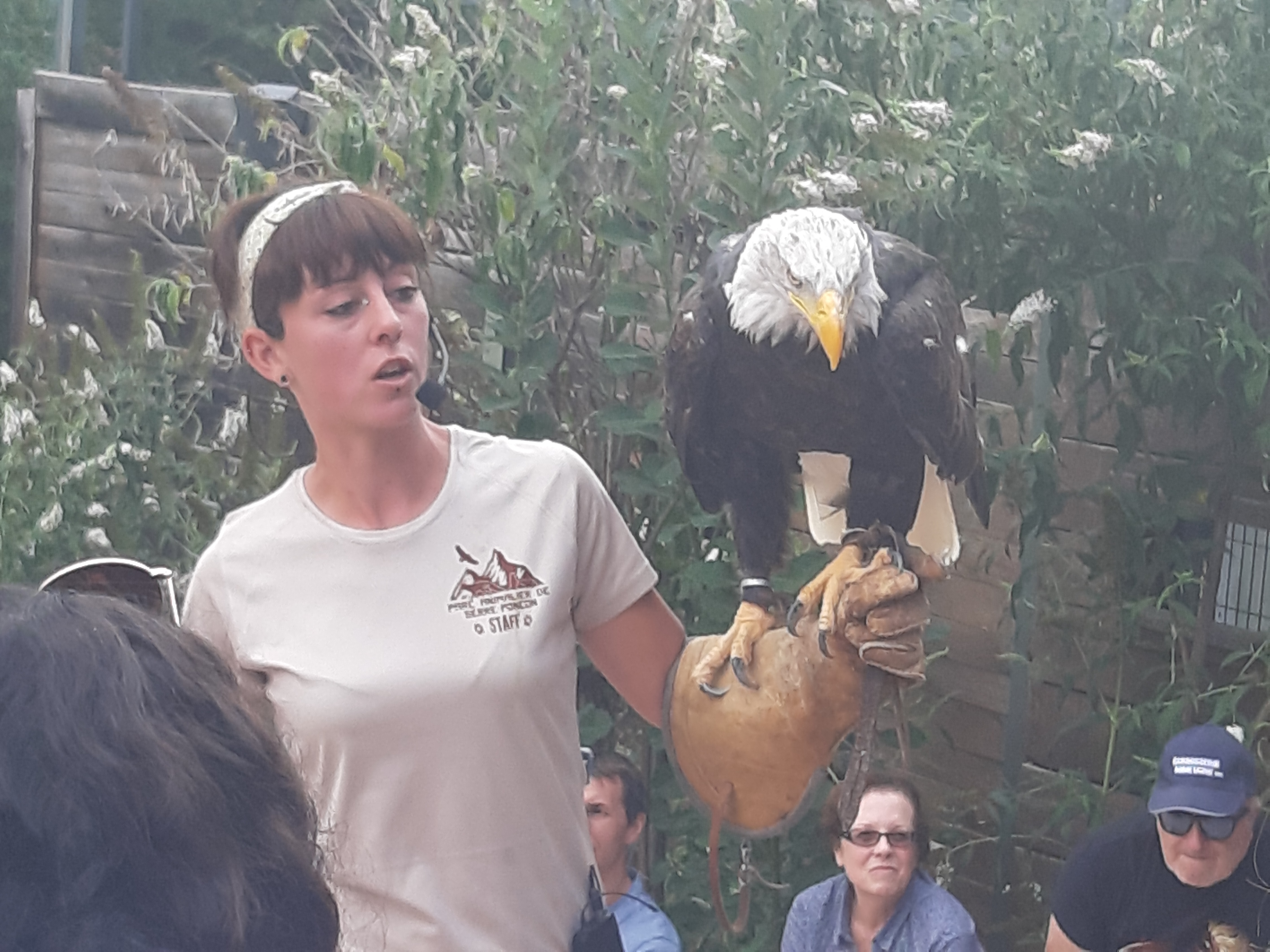 Photo n° 3 de l'avis de Domy. fait le 22/08/2019 à 22:17