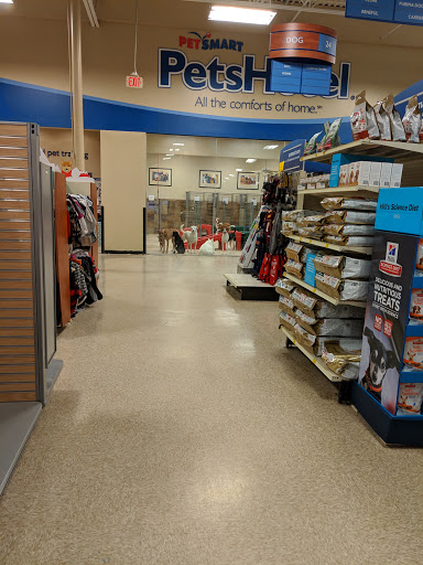 Pet Supply Store «PetSmart», reviews and photos, 13866 Metrotech Dr, Chantilly, VA 20151, USA