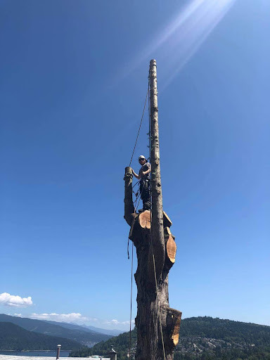 Tree pruning Luton