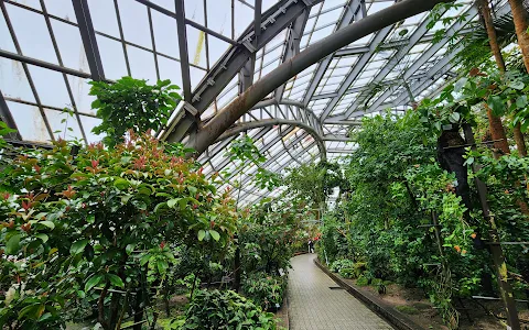 Kyoto Botanical Gardens image