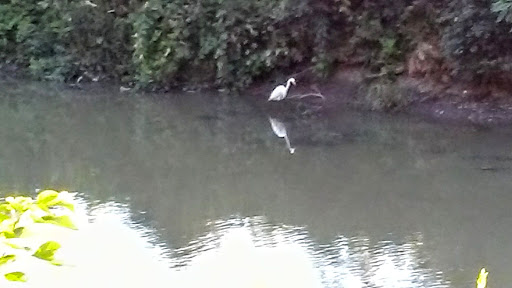 Park «Dellwood Park», reviews and photos, IL-171 & Woods Dr, Lockport, IL 60441, USA