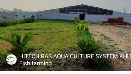 HITECH RAS AQUA CULTURE SYSTEM KHURJA Fish farming