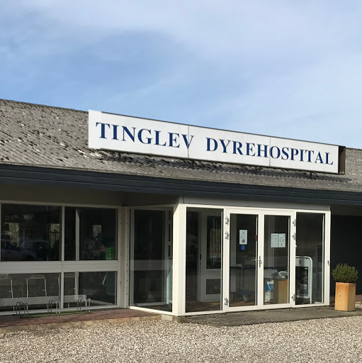 Tinglev Dyrehospital Familiedyr in Tinglev, Aabenraa