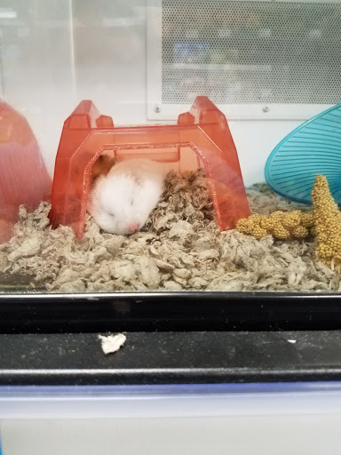 Pet Supply Store «Petco Animal Supplies», reviews and photos, 7215 170th Ave NE #115, Redmond, WA 98052, USA