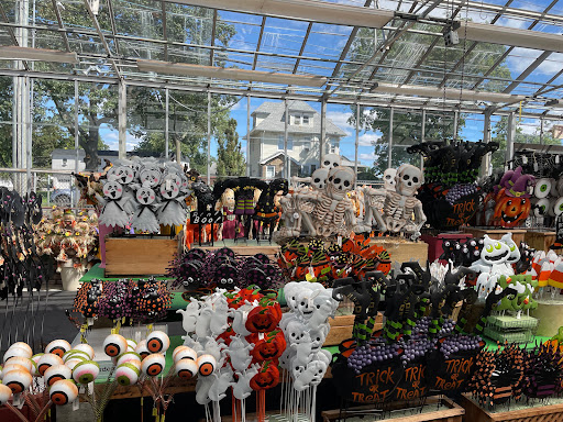 Garden Center «Dees Nursery & Florist», reviews and photos, 69 Atlantic Ave, Oceanside, NY 11572, USA