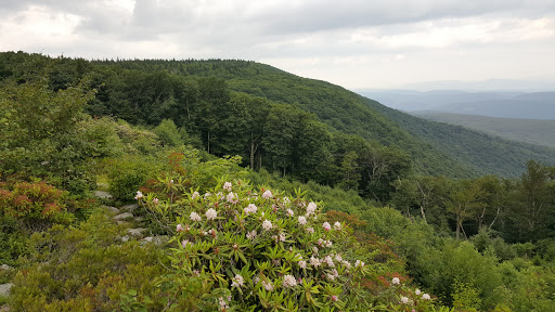 Blackbird Knob Trailhead