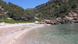 Cala D'egos'in fotoğrafı küçük koy ile birlikte