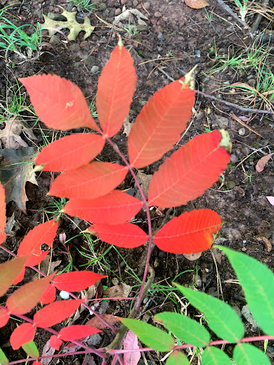 Park «Weequahic Park», reviews and photos, Elizabeth Ave & Meeker Ave, Newark, NJ 07112, USA