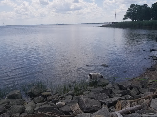 Used Book Store «Oak Knoll Books», reviews and photos, 310 Delaware St, New Castle, DE 19720, USA