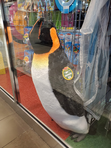 Toy Store «Toy Werks», reviews and photos, 923 N Loop 1604 E, San Antonio, TX 78232, USA