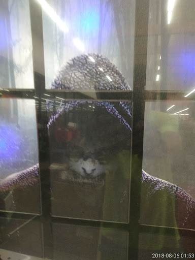 Shopping Mall «Brick Plaza Shopping Center», reviews and photos, 159 Van Zile Rd, Brick, NJ 08724, USA