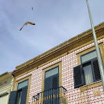 Photo n°3 de l'avis de Brice. fait le 14/10/2018 à 13:37 sur le  O António à Matosinhos