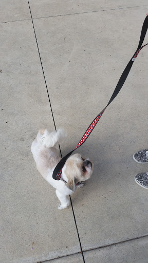 Pet Supply Store «PetSmart», reviews and photos, 916 Loganville Hwy, Bethlehem, GA 30620, USA