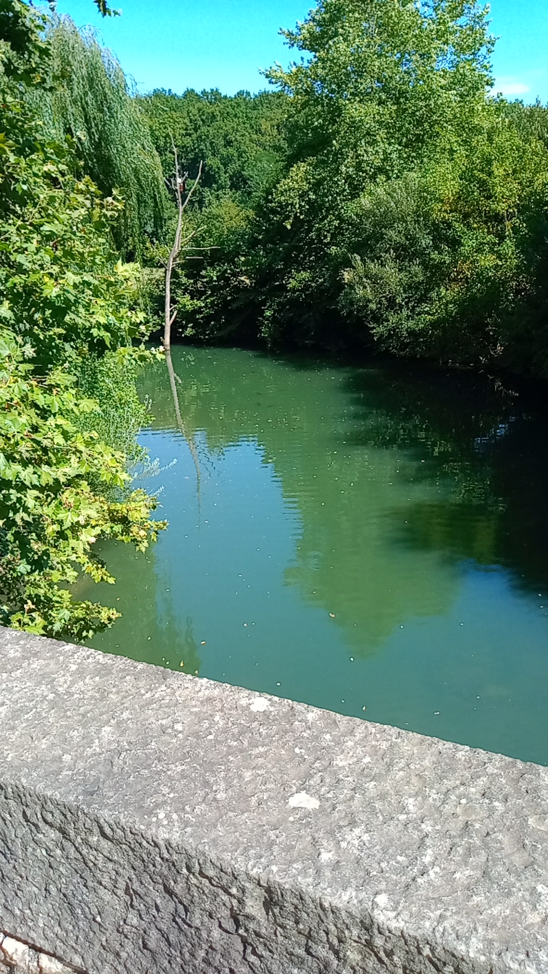Photo n° 4 de l'avis de Mickael.o fait le 28/07/2022 à 15:12