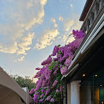 Photo n°9 de l'avis de Paul.c fait le 21/08/2023 à 20:30 sur le  La Darsena Ristorante e Pizzeria à Barbarano