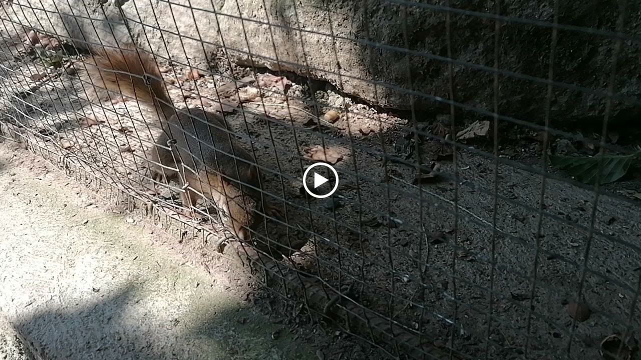 Photo n° 43 de l'avis de Gilles.. fait le 23/08/2023 à 12:57