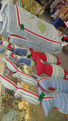 Non-Profit Organization «Youth Alternatives Thrift Shop», reviews and photos, 3103 West Ave, San Antonio, TX 78213, USA