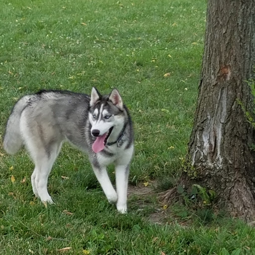 Park «Sargent Park», reviews and photos, 3530 E Douglas Ave, Des Moines, IA 50317, USA