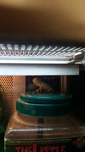 Pet Supply Store «Petco Animal Supplies», reviews and photos, 3380 124th Ave NW, Coon Rapids, MN 55433, USA