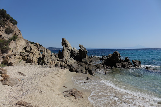 Coast Gerontokores