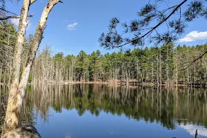 Upton State Forest image