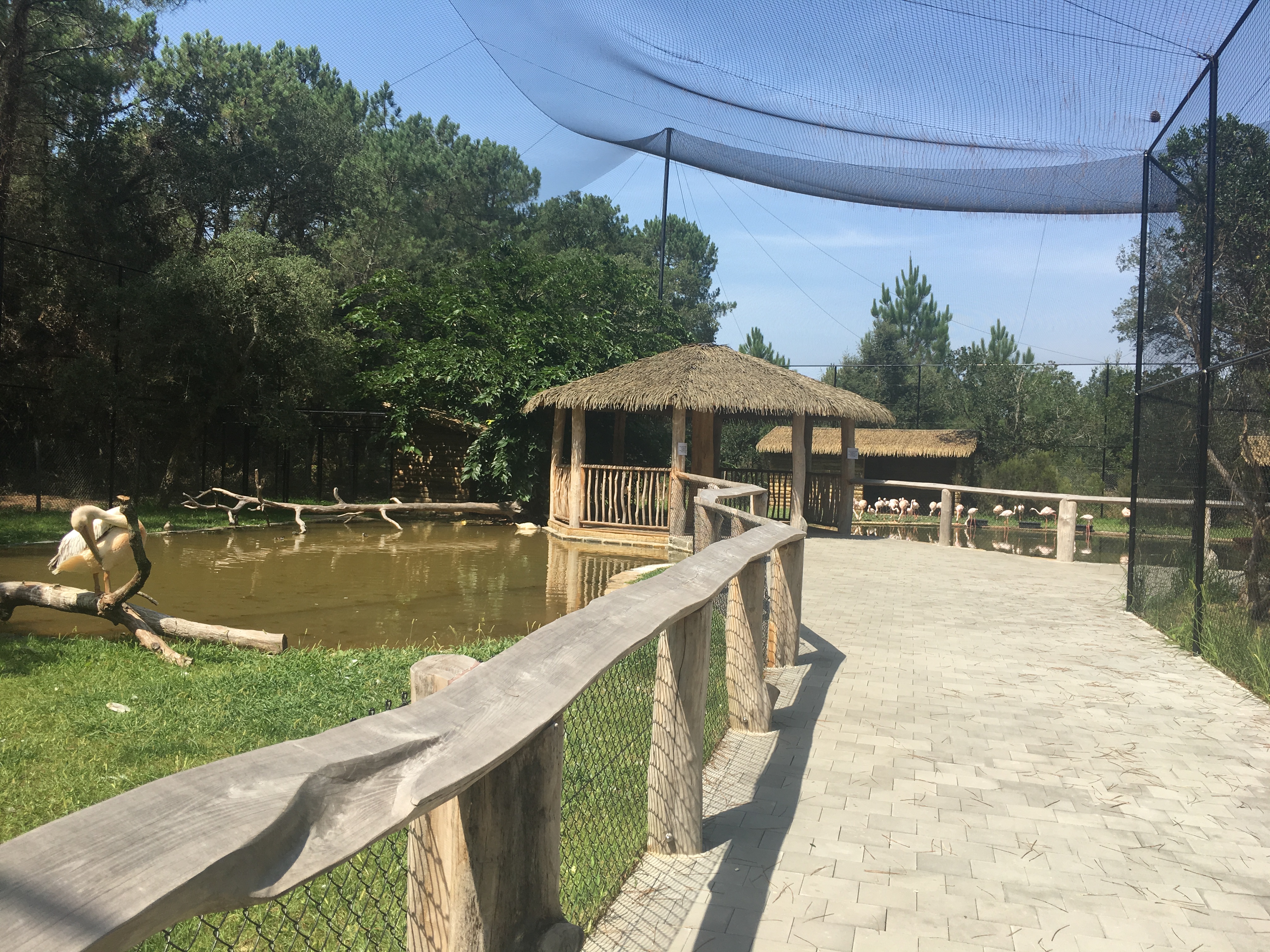 Photo n° 43 de l'avis de Coco.p fait le 24/08/2017 à 14:18