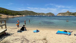 Playa Sa Plageta'in fotoğrafı vahşi alan