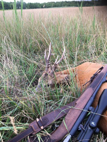 Dabrony, Malom u. 2, 8485