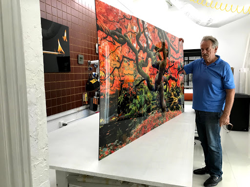 Photo Lab «Art Plex Photo / Alex Kay gallery», reviews and photos, 245 NE 183rd St, North Miami Beach, FL 33179, USA