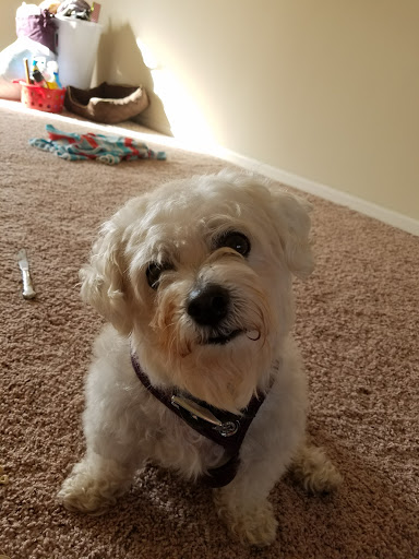 Shopping Mall «Westcliff Plaza», reviews and photos, 1000-1150 Irvine Ave, Newport Beach, CA 92660, USA