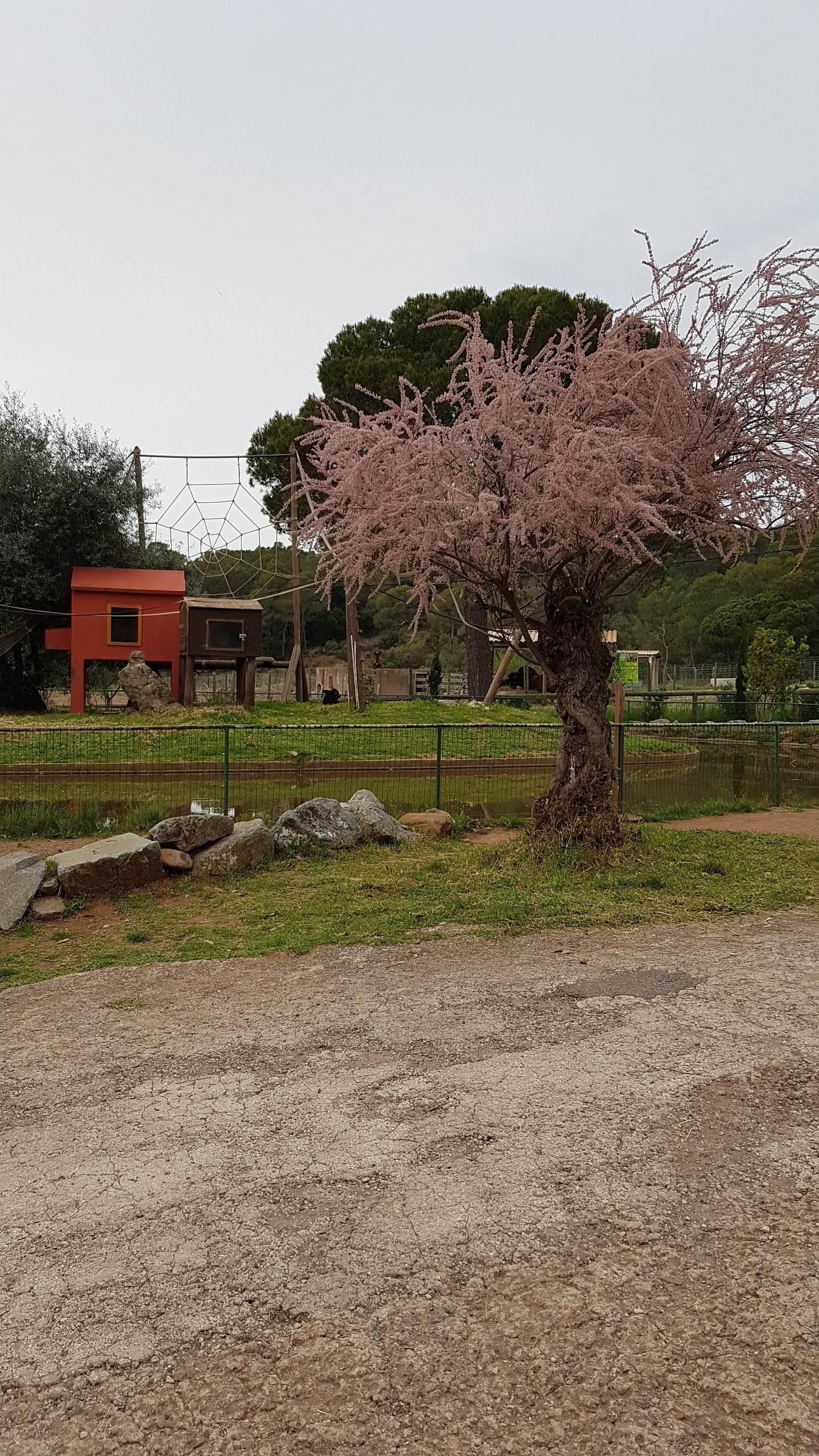Photo n° 26 de l'avis de Isabelle.e fait le 16/04/2019 à 22:21