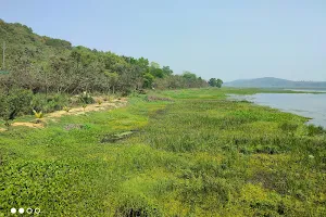 Ansupa Lake Nature Park image
