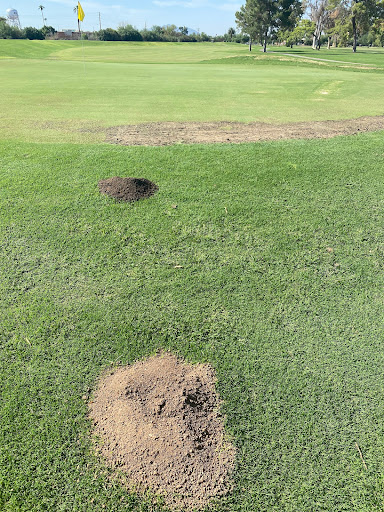 Golf Club «Toka Sticks Golf Club», reviews and photos, 6910 E Williams Field Rd, Mesa, AZ 85212, USA