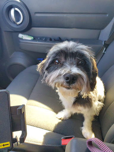 Pet Supply Store «PetSmart», reviews and photos, 9960 N 91st Ave, Peoria, AZ 85345, USA