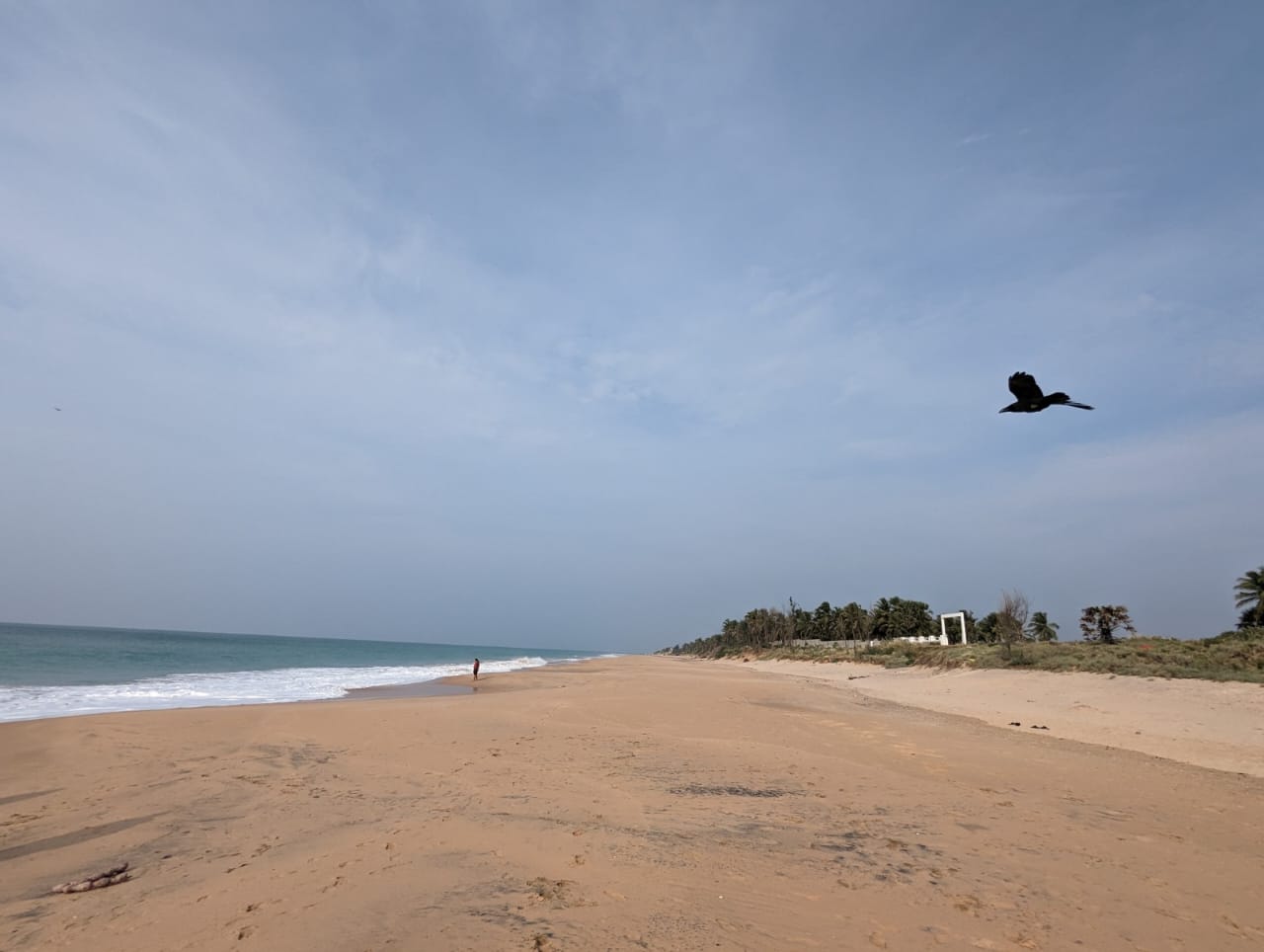 Photo de Chothavilai Beach - endroit populaire parmi les connaisseurs de la détente