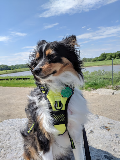 Nature Preserve «Buffalo Creek Forest Preserve», reviews and photos, 18163 W Checker Rd, Long Grove, IL 60047, USA