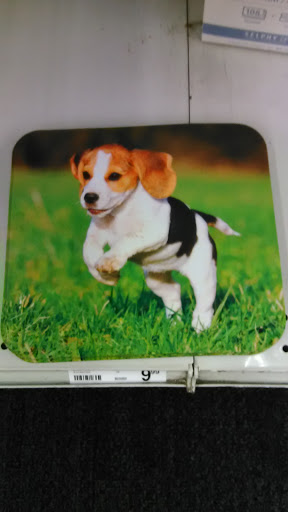 Office Supply Store «Staples», reviews and photos, 1129 Riverdale St, West Springfield, MA 01089, USA