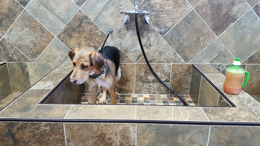 Pet Store «Pet Valu», reviews and photos, 95 Linwood Ave, Colchester, CT 06415, USA