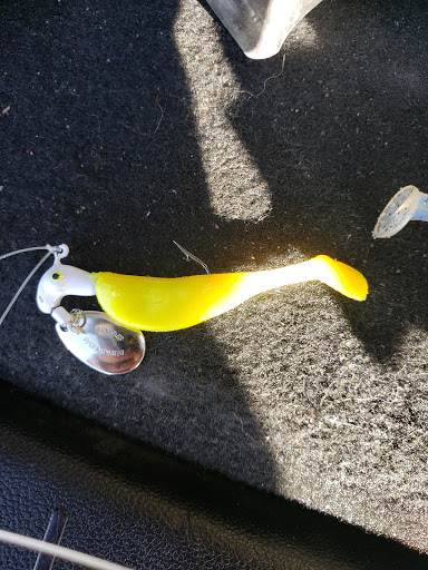 Sporting Goods Store «Academy Sports + Outdoors», reviews and photos, 6425 Garth Rd, Baytown, TX 77521, USA