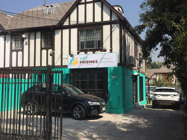 Vet Friends Veterinaria - Veterinario