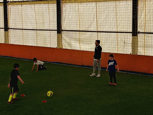 gonderme lutfen aklinizda bulundurun siniflandirma cayirbasi hali saha bilsanatolye com