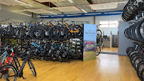 Trek Bicycle Ellicott City - Photo 3 - Car repair in Ellicott City, MD, Columbia