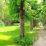 Photo n°49 de l'avis de Michael.l fait le 01/06/2021 à 19:03 sur le  Ringhotel Schloss Hohenstein à Ahorn