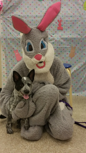 Pet Supply Store «PetSmart», reviews and photos, 9887 76th St, Pleasant Prairie, WI 53158, USA