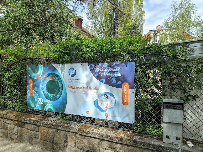 Comentarii opinii despre KRIO Intézet Családi Őssejtbank (Köldökzsinórvér őssejt levétel és tárolás, spermabank)